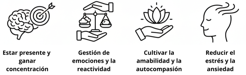 iconos de beneficio