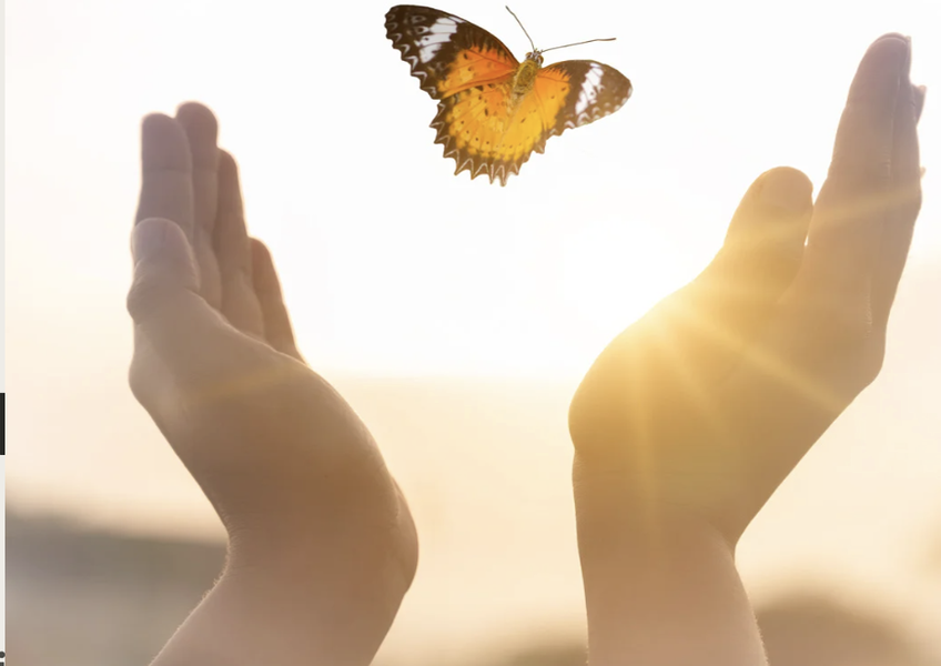 Formacion como instructor en Mindfulness 2026