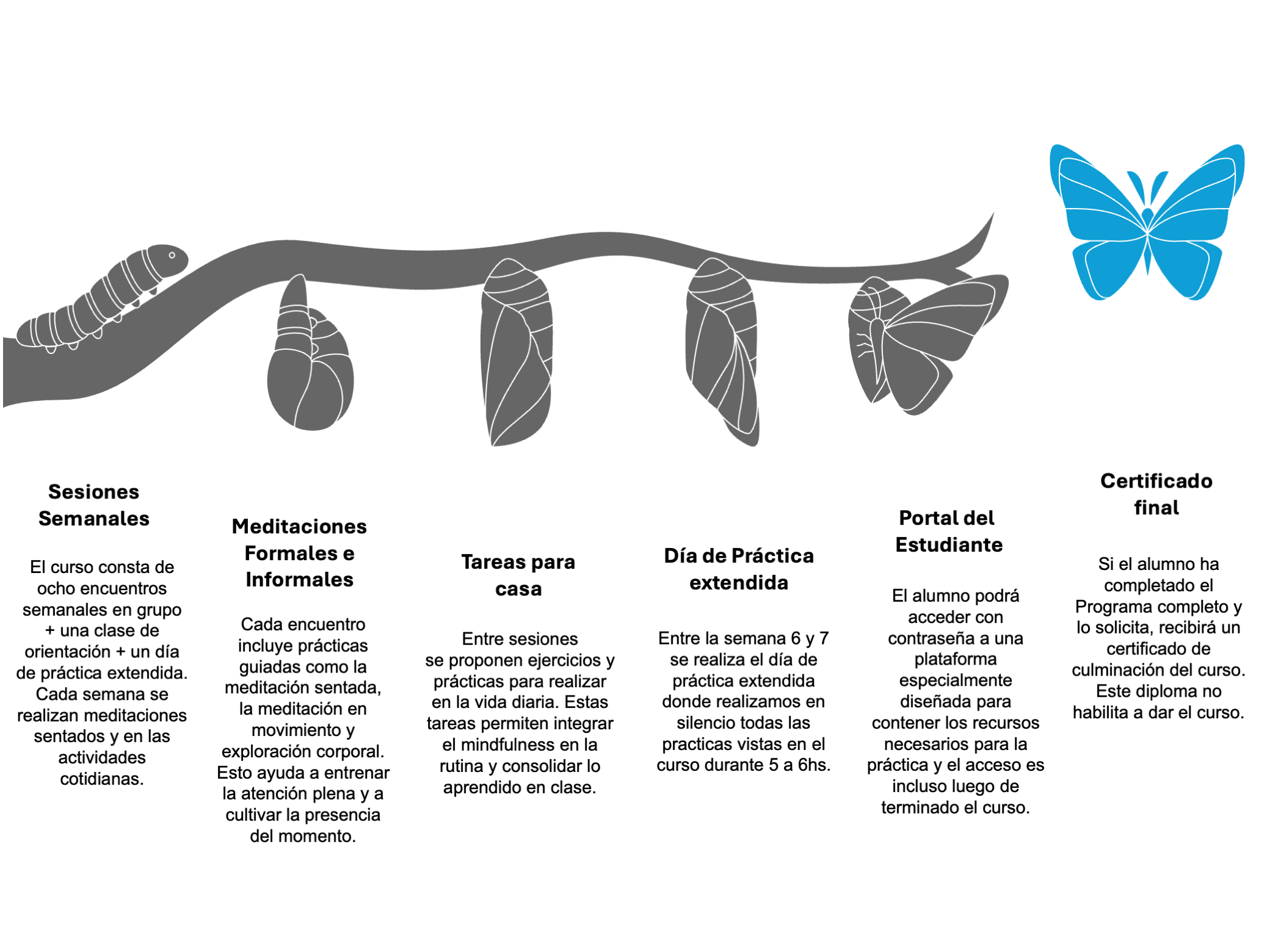 Diapositiva1