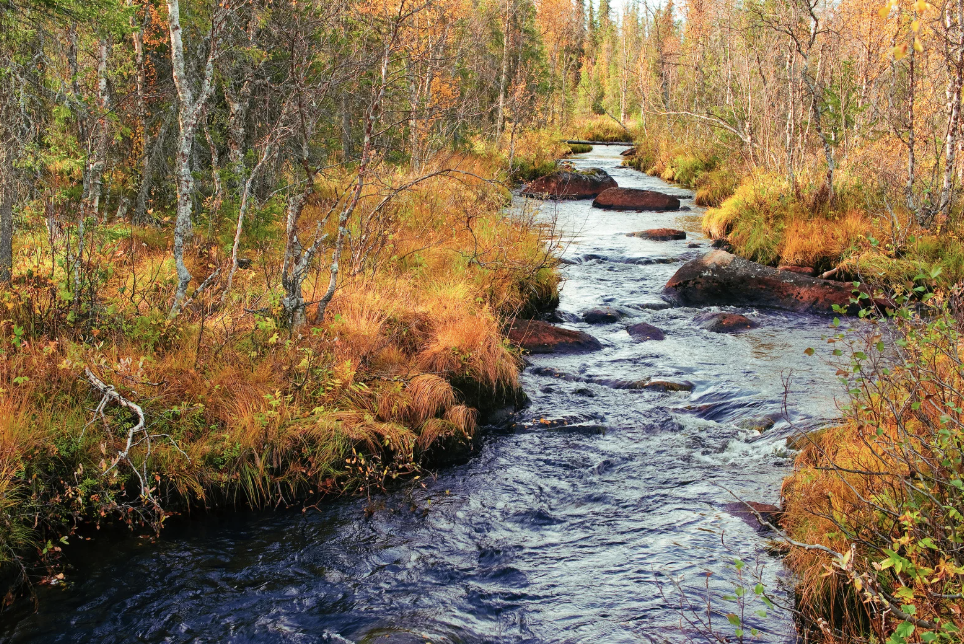 Meditación guiada - Aprender a Fluir 13min - Silvio Raij